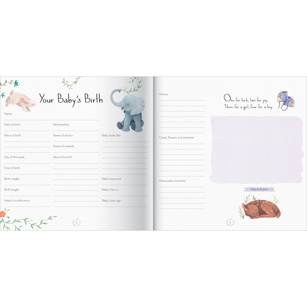 Mein Baby-Tagebuch mit 24 Meilensteinkarten
