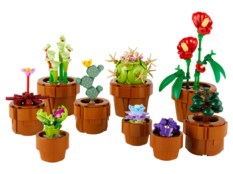 Miniplantjes - 10329