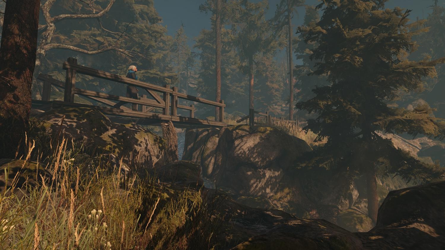 Through the Woods: Digital Collector's Edition- PC
