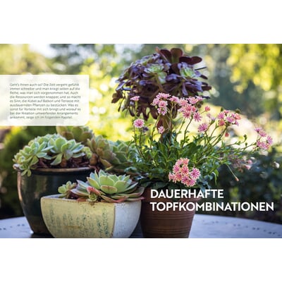 Mein Garten wächst im Topf