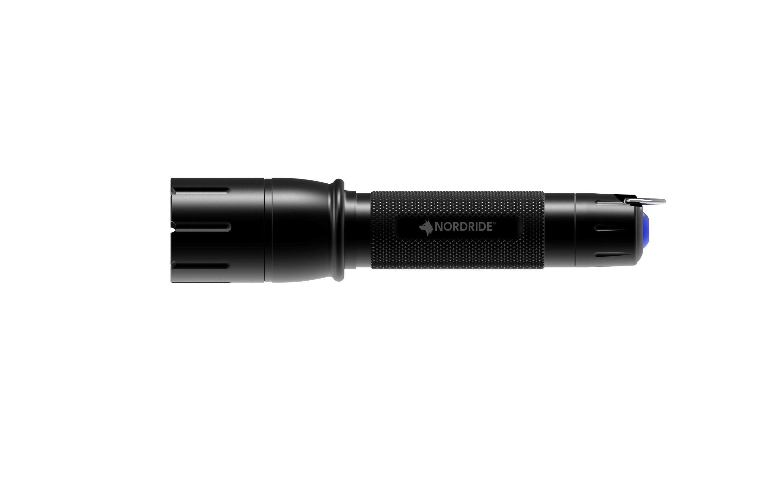 Spot Smart R 510 lm, IP65Handlampe