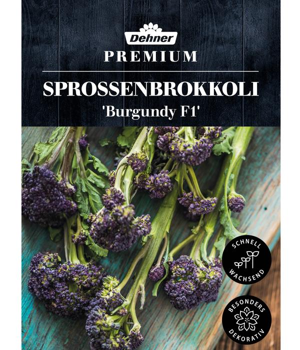 Dehner Premium Samen Sprossenbrokkoli