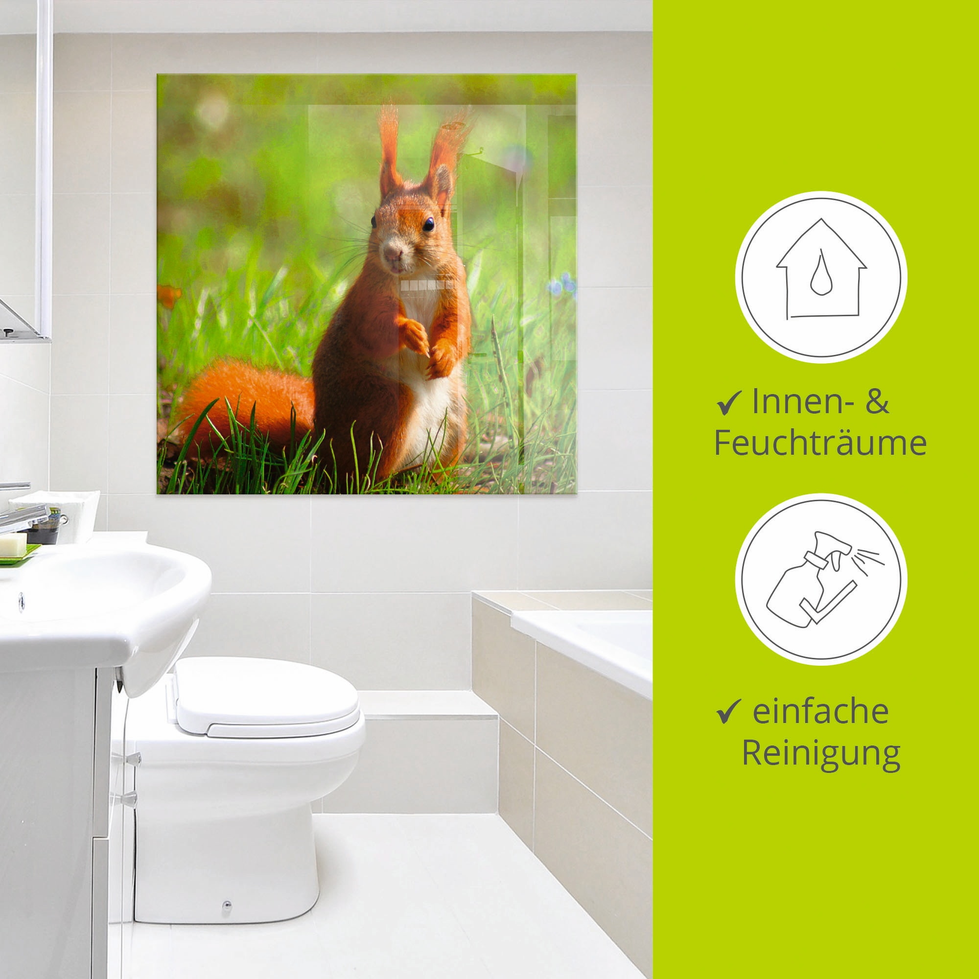 Artland Glasbild »Eichhörnchen Kontakt« Wildtiere 1 Stk. tlg. in verschiedenen Grössen
