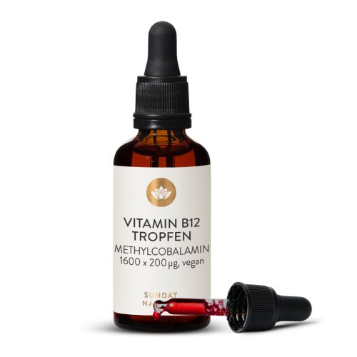Sunday Natural Products  B12 TropfenMethylcobalamin 200 µg