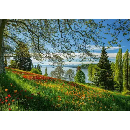 Schmidt Spiele Puzzle - Frühlingsallee zur Tulpenblüte, Insel Mainau, 1000 Teile
