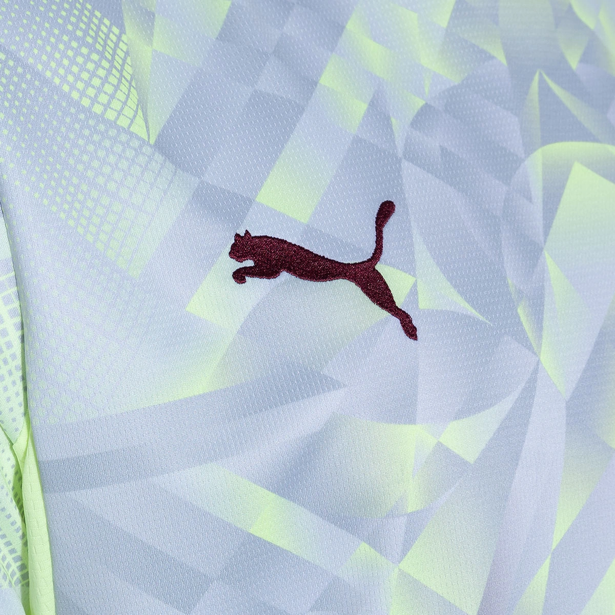 Camisola Puma Portugal (FPF) Primeiro Equipamento Guarda-redes Mundial 2026