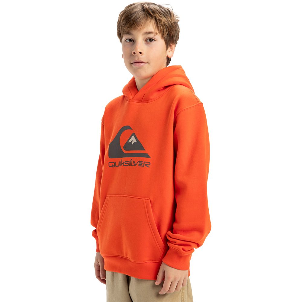 Quiksilver Big Logo Hoodie Jungen tigerlilly
