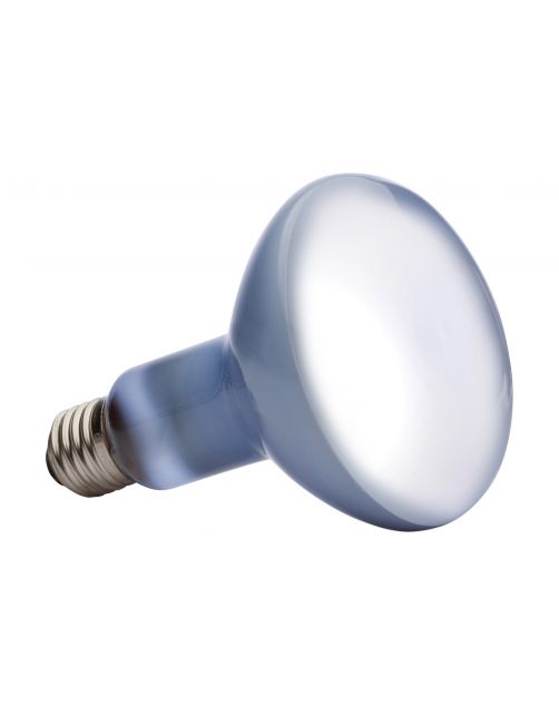Exo Terra Daylight Basking Spot - Verlichting