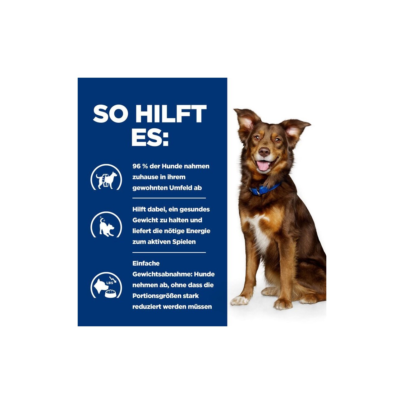 Hill's Prescription Diet Metabolic mit Huhn 12x370g