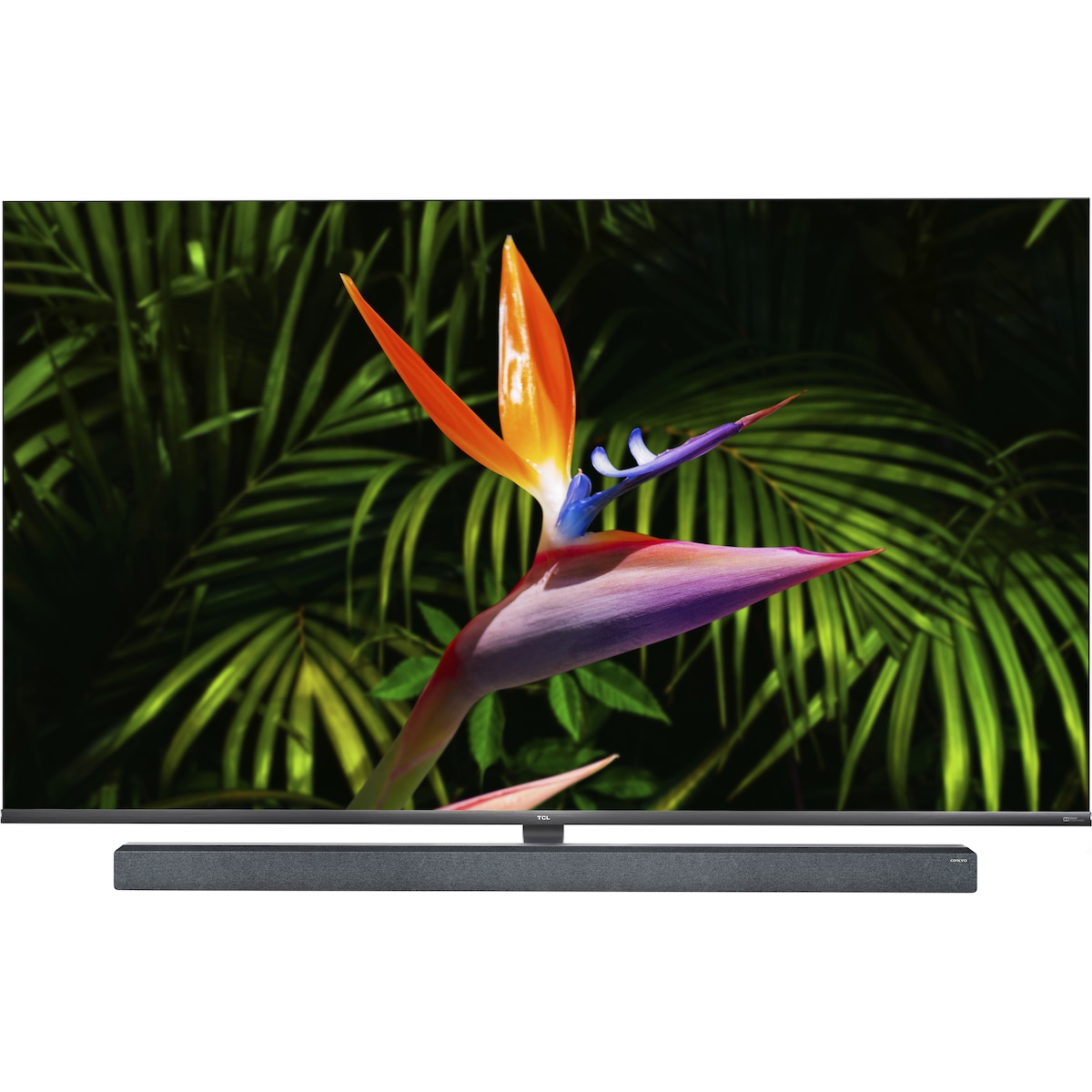 TCL 65