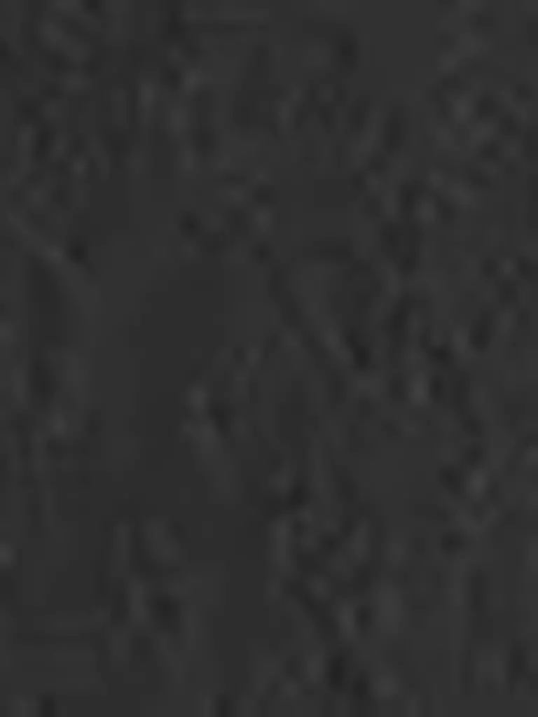 LEVI'S® Jeans Dad Fit BAGGY DAD schwarz