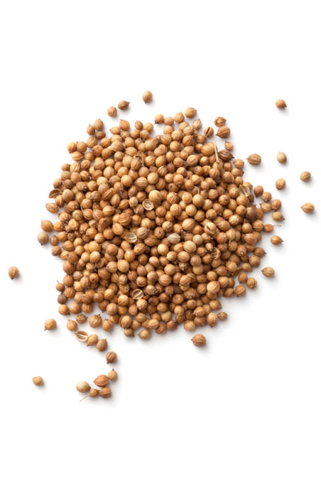Graine de coriandre  Coriandrum sativum