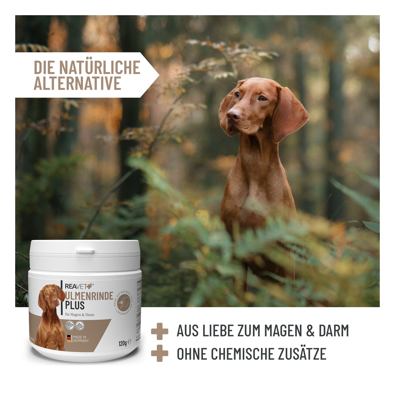 REAVET Ulmenrinde Plus 120g