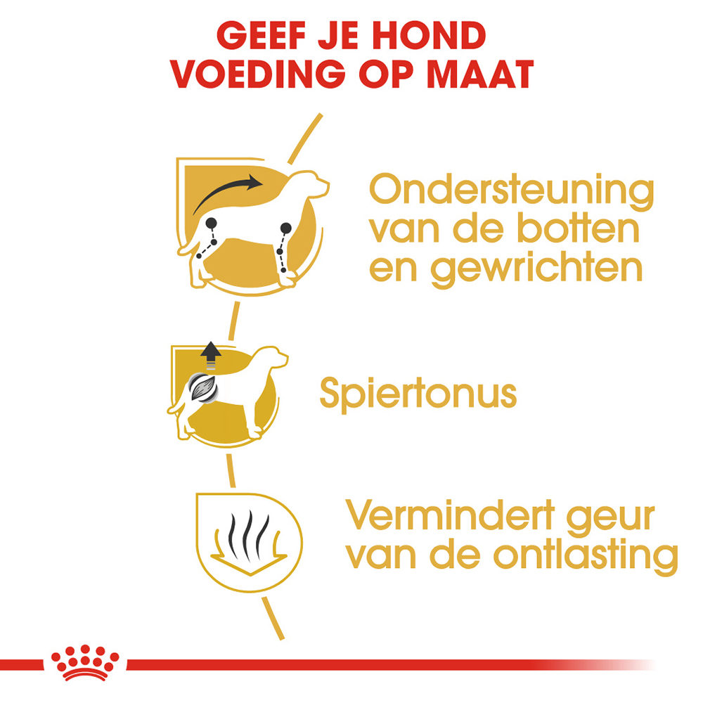 Royal Canin Dachshund Adult - Hondenvoer