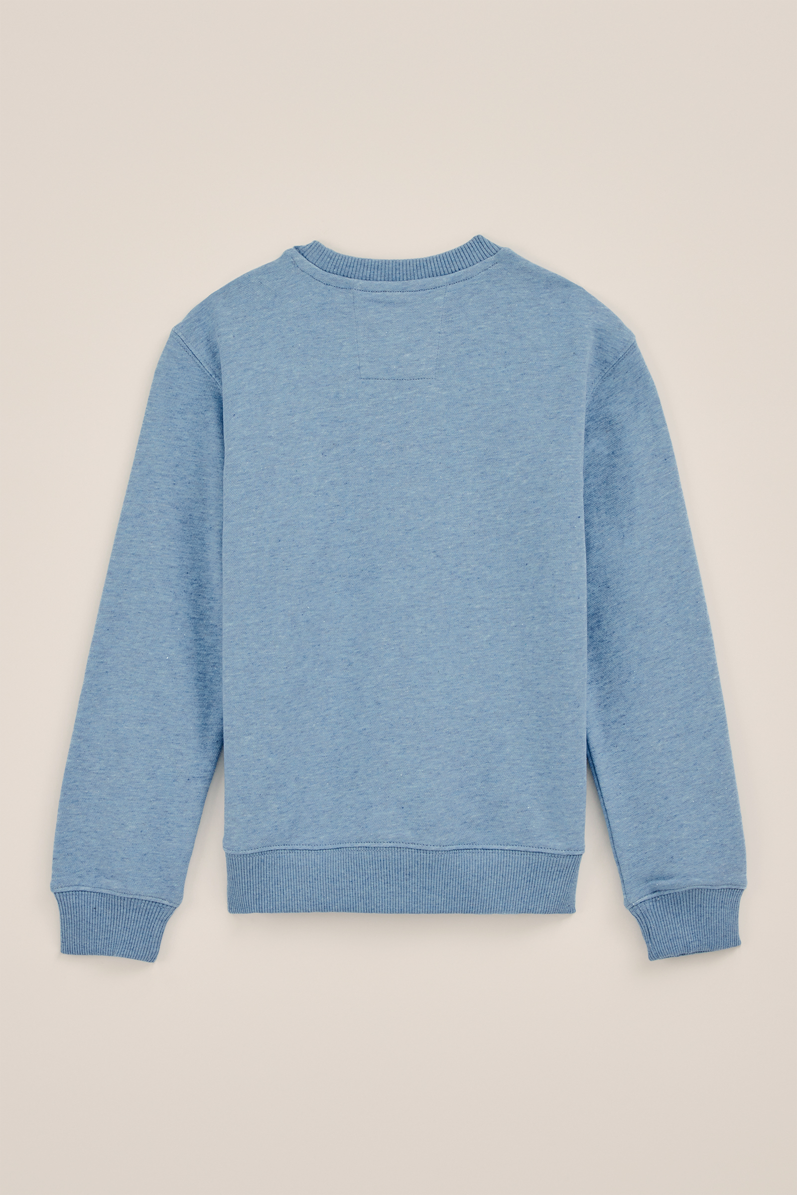 Jongen sweater met opdruk Blue Ridge Lichtblauw