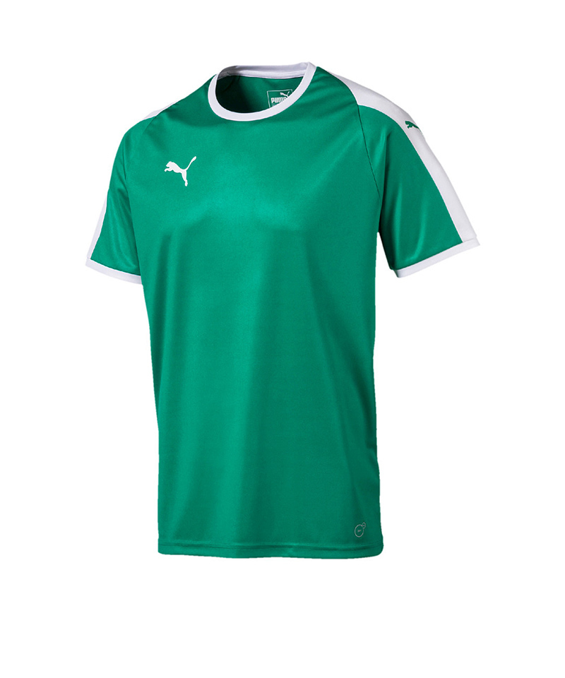 PUMA LIGA Trikot kurzarm Kids Grün Weiss F05