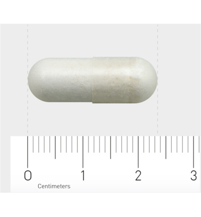 AOV 601000ml-tryptofaan (60 vega capsules)