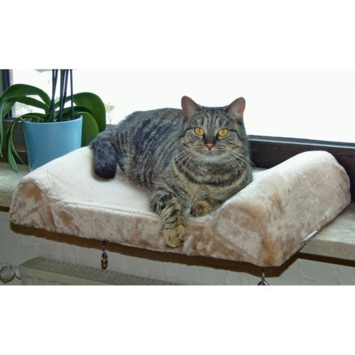 Cama bege para gatos para janela