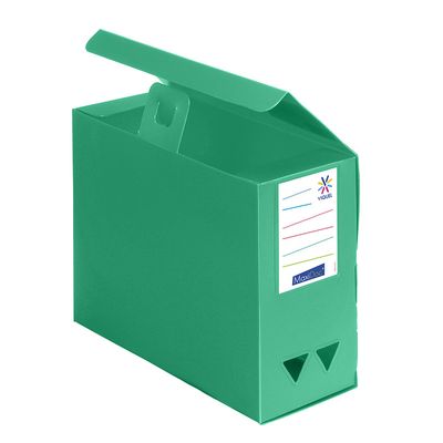 Viquel - Boîte de classement plastique - dos 120 mm - vert