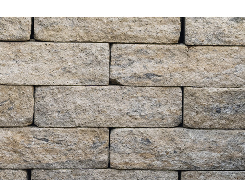iBrixx Passion Maxi wandsteen, schelpkalksteen, 42 x 21 x 12,5 cm