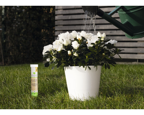 Lucky Plant Plantenversterkende Tabletten 20 Tabs
