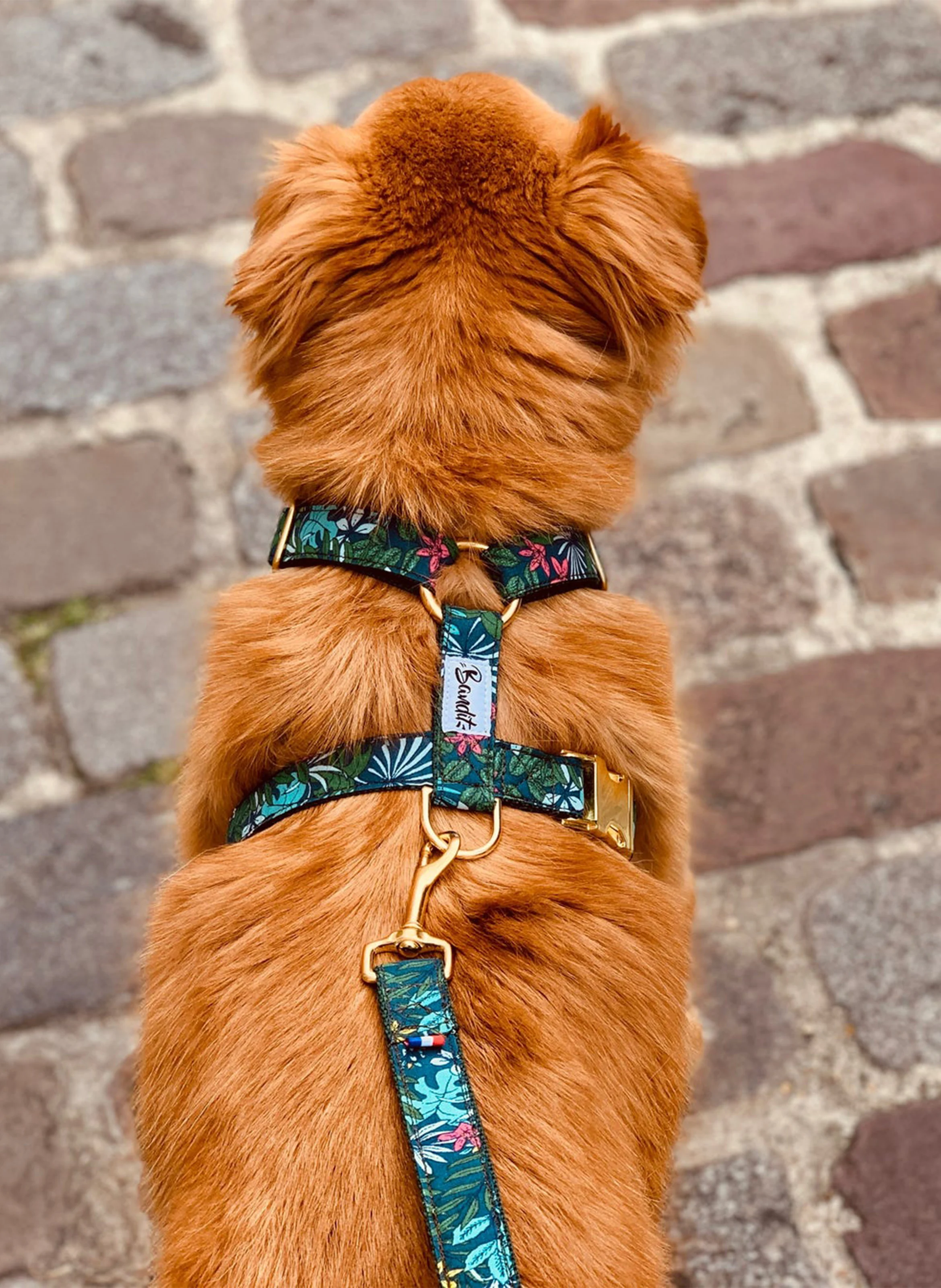 SOUS LES TROPIQUES - Laisse pour chien imprimé tropical | Bleu