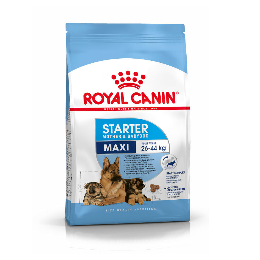 Ração Royal Canin Starter Mother&Baby Maxi para cães