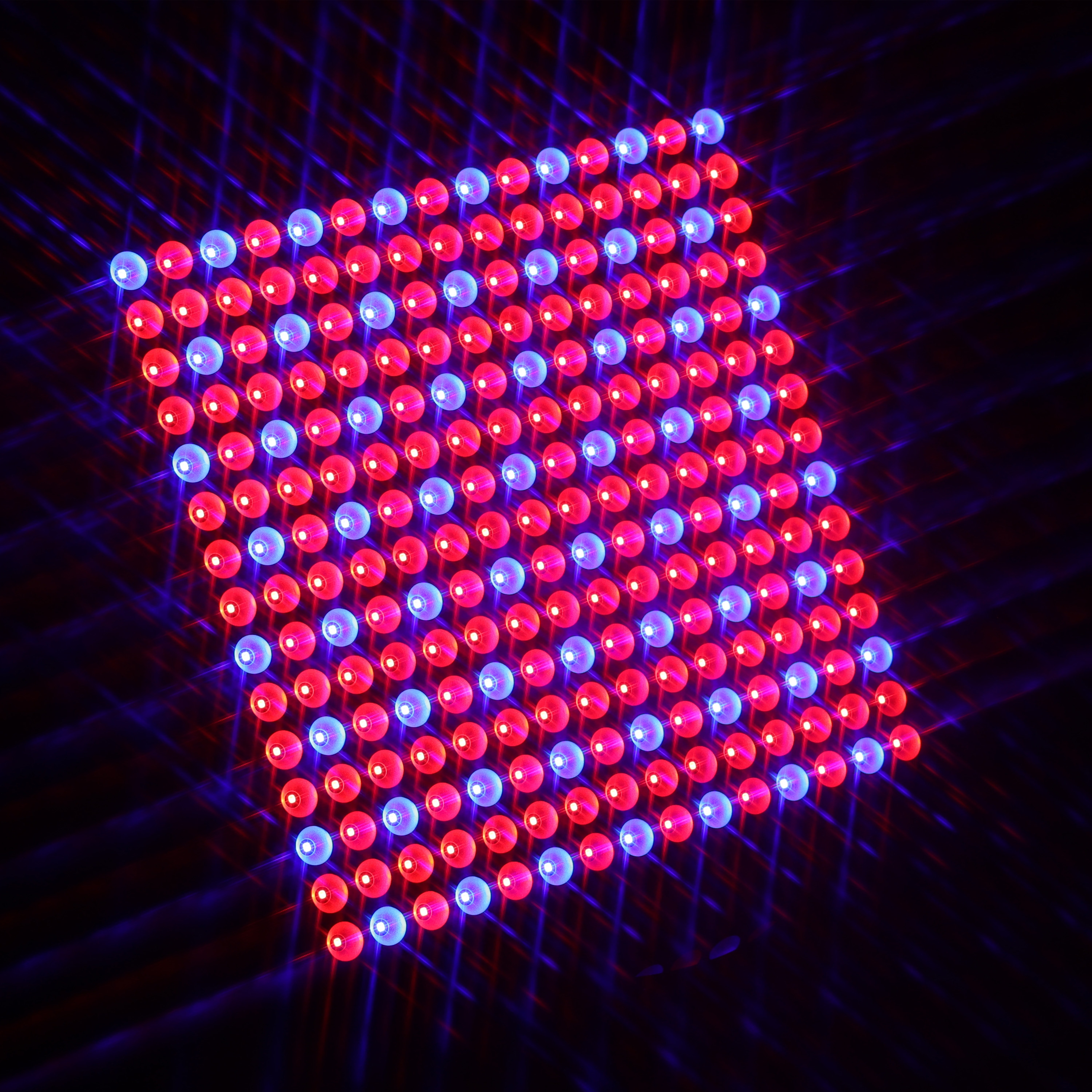 LED Pflanzenlampe 31 x 31 cm rot/blau