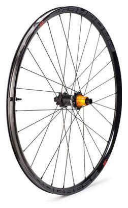 Roue Arrière Progress EVO 29