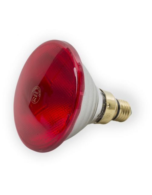 Powerheat Warmtelamp - Verwarming - Rood 175 Watt