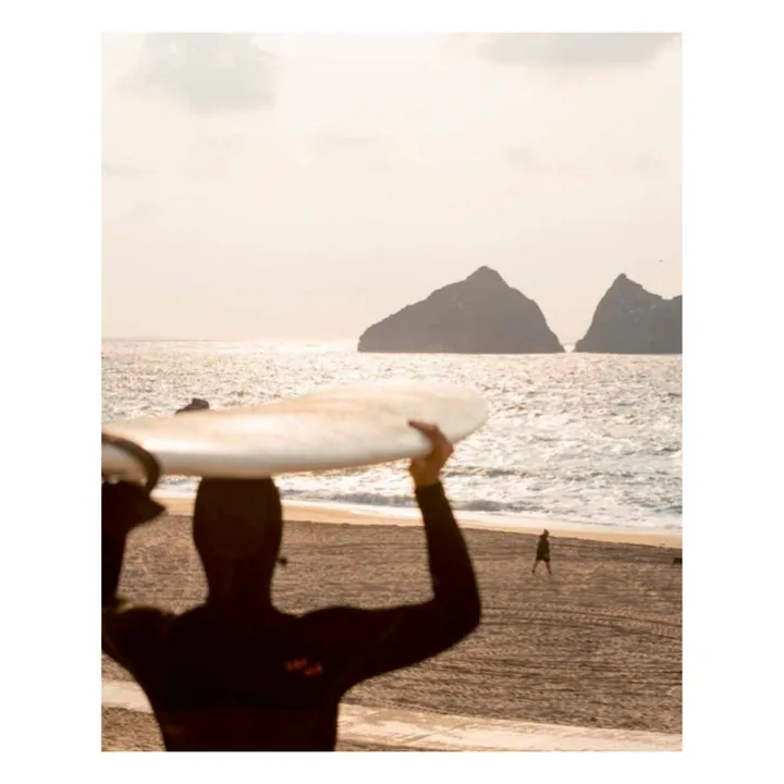 Lannoo Surf & Stay - EN