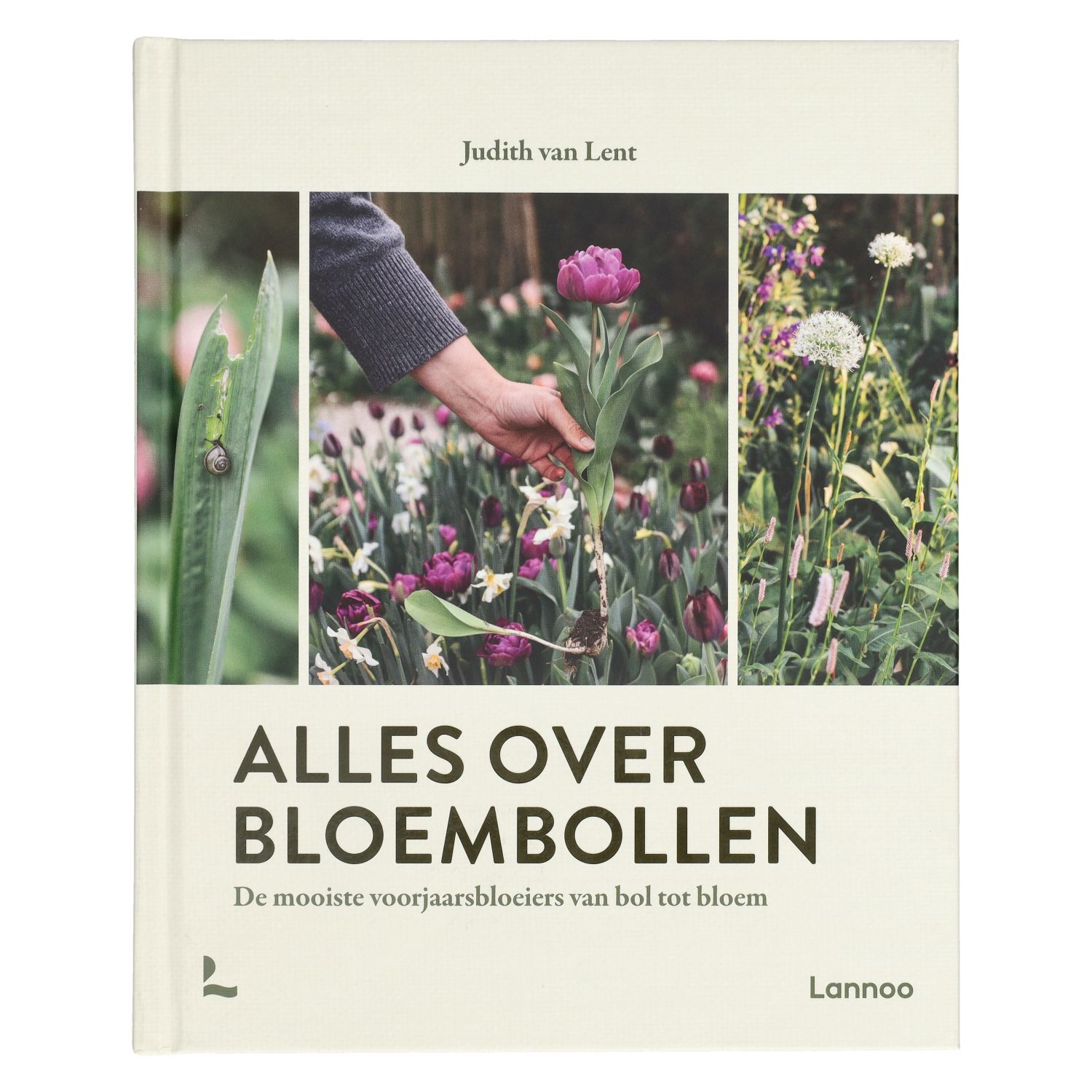 Alles over bloembollen, Judith van Lent