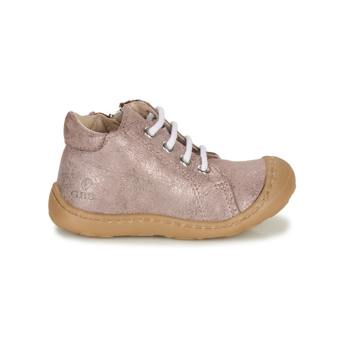 GBB - VEDOFA - Rose