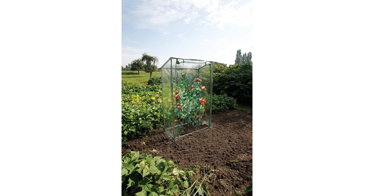 NatureTomatentuinkas kweekkas  (Groen/transparant)
