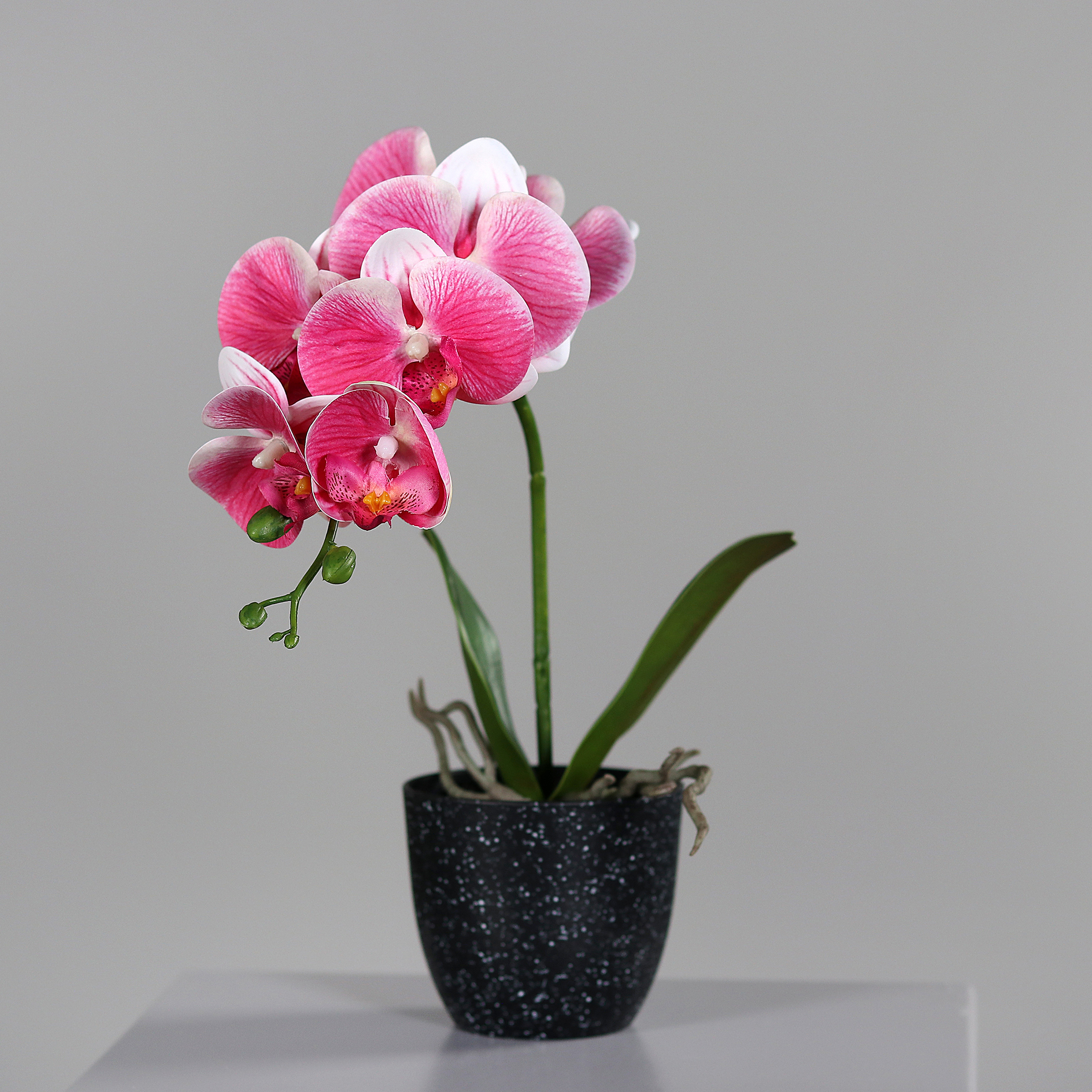 Orchidee im Topf - pink-creme - Kunstpflanze