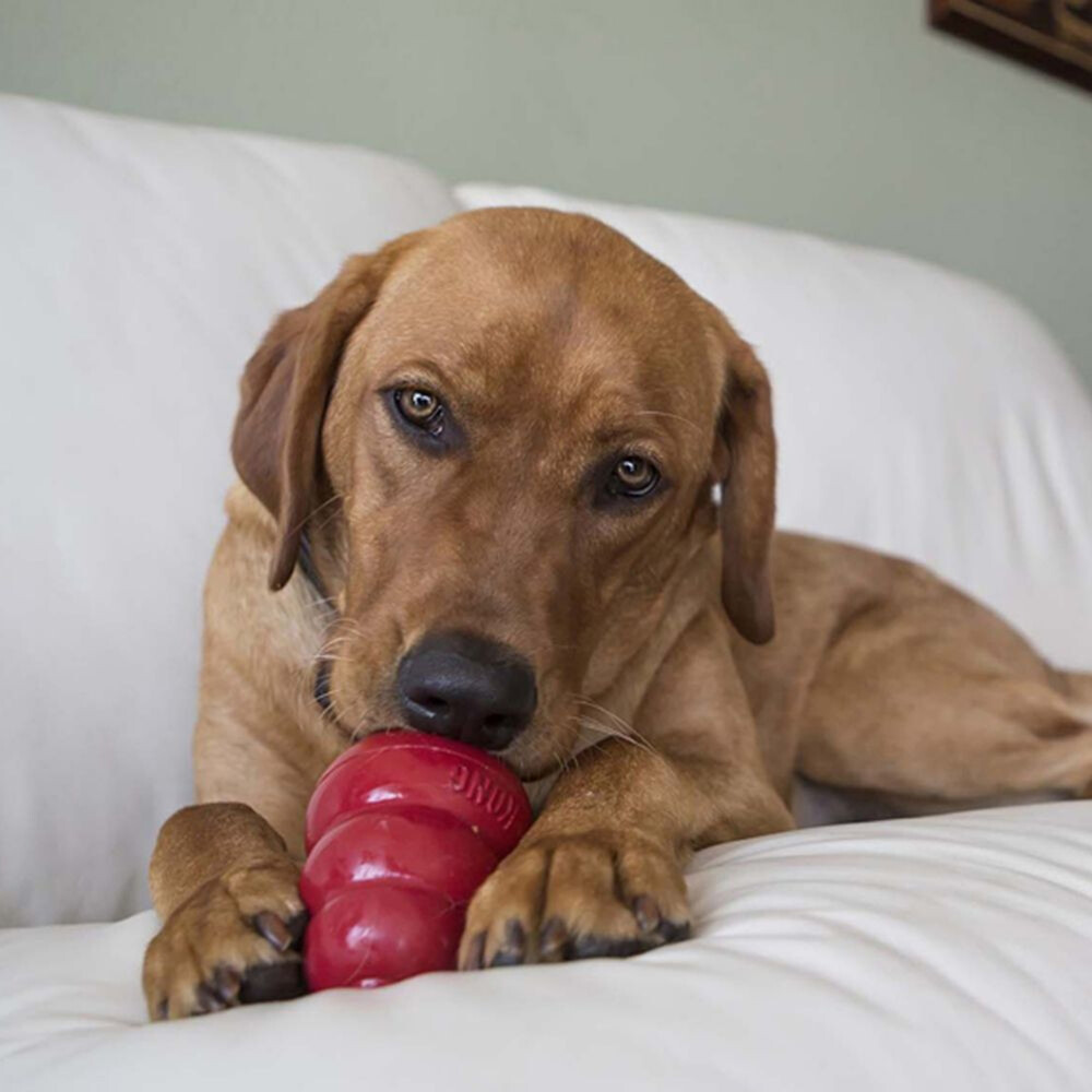 Kong Snacks Bacon-Kaas L
