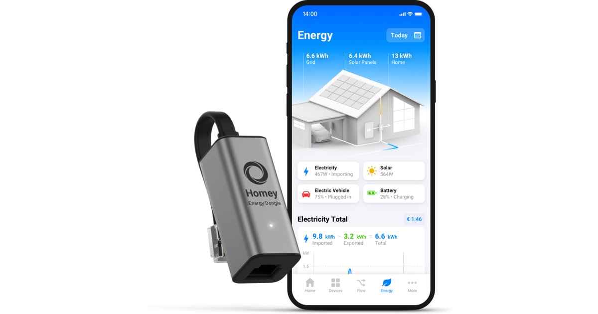 AthomHomey Pro + Energy Dongle basisstation  (Zwart)