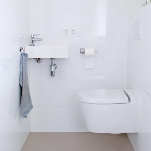 HG Eco Toiletruimte Reiniger 500ML