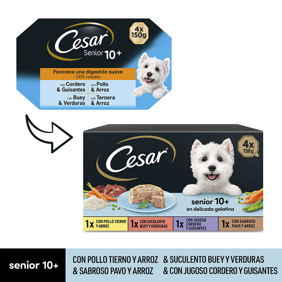 Pote de gelatina com carnes mistas Cesar para cães idosos - Pacote múltiplo