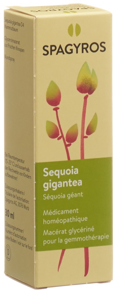 Spagyros Sequoia gigantea Glyc Maz 4 D Spr 30 ml