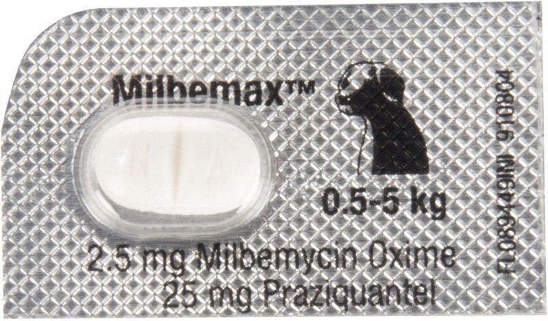 Miblemax - Grote Hond - 50 tabletten