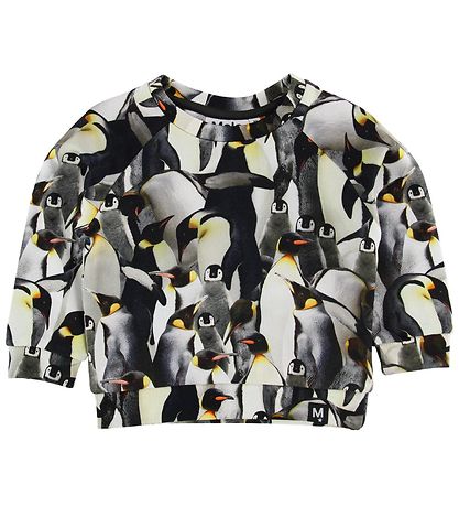 Molo Sweatshirt - Tag - Pinguine in Hülle und Fülle