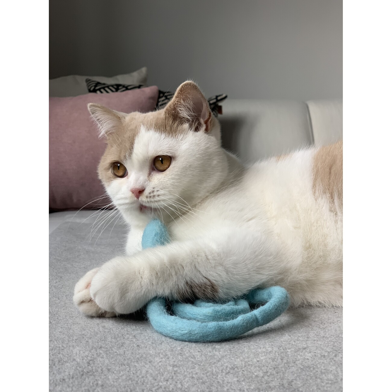 Kater Kasimir XL Filzschlange (handgerollt, ca. 50cm) aus echtem Wollfilz in GRAU