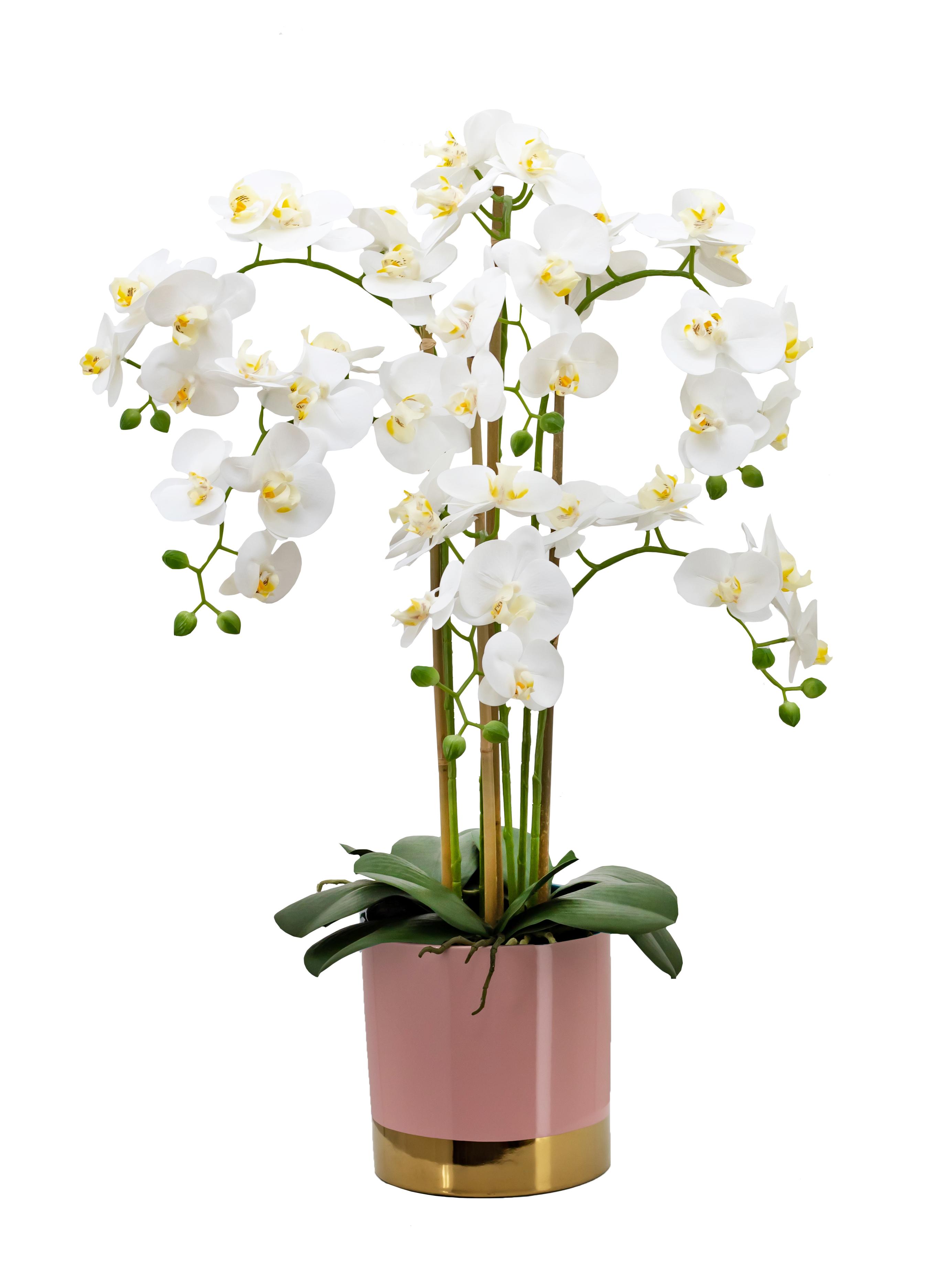 ORCHIDEES GEANTES TOUCHER NATUREL X6 BRANCHES ROSE OR H.80CM