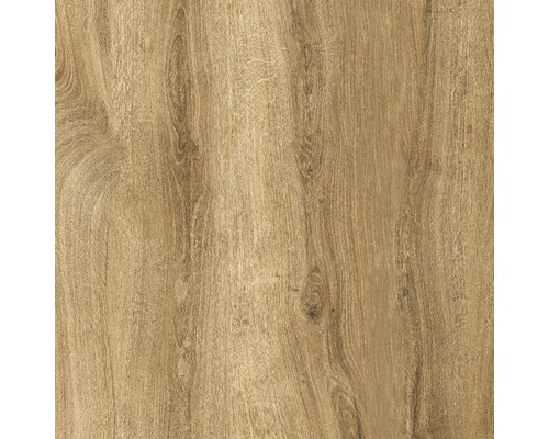 Porseleinen terrastegel Limewood Roble gerectificeerde rand 60 x 60 x 2 cm