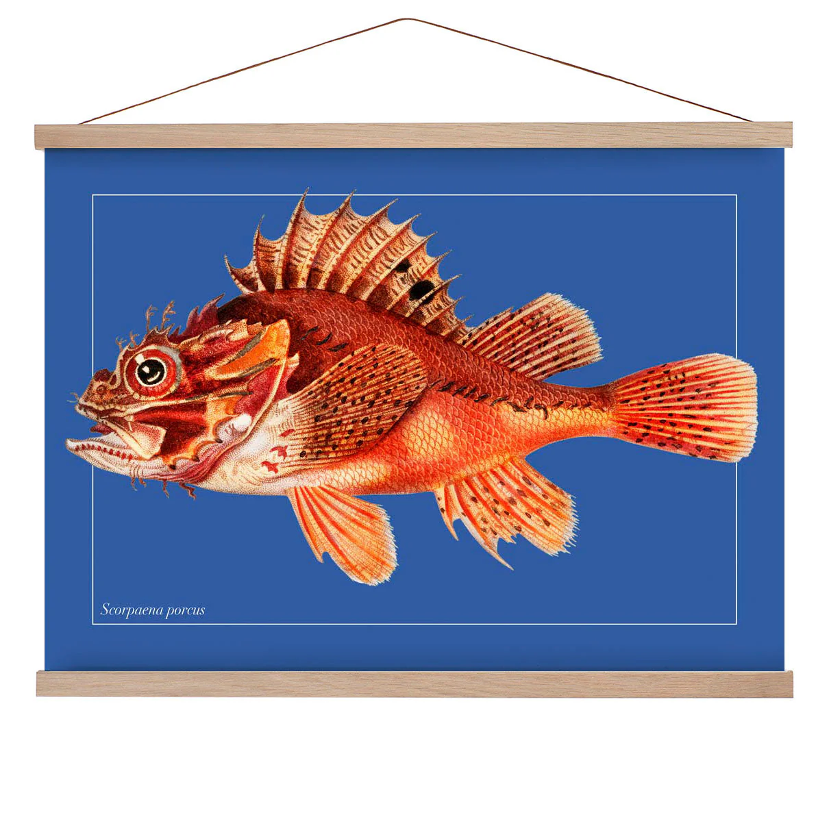 Punk-Fisch