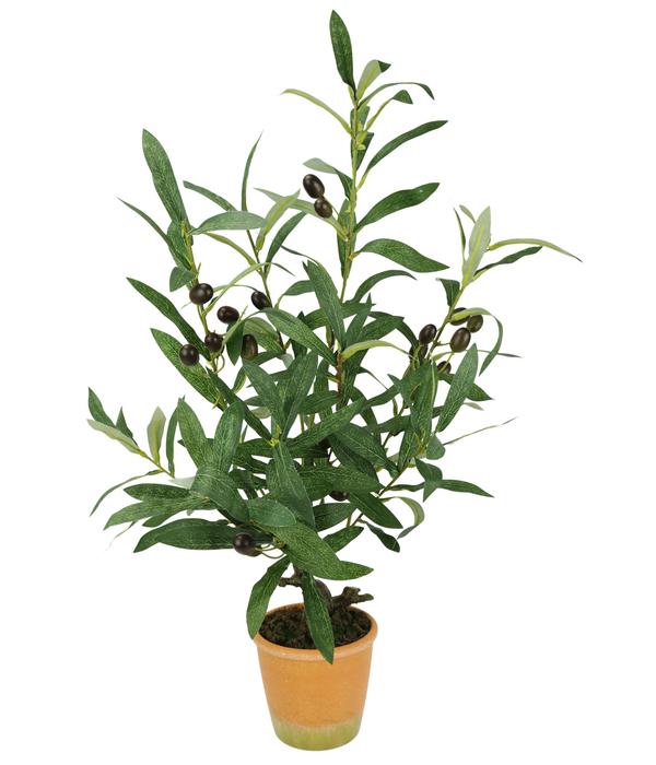 I.GE.A. Kunstpflanze Olive mit schwarzen