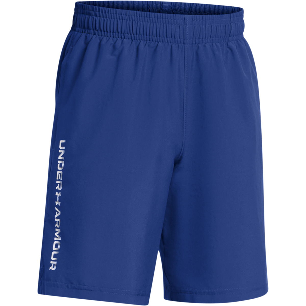 Under Armour Woven Wordmark Træningsshorts Børn