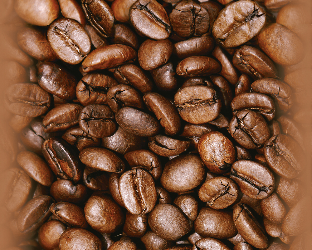Panel POP.UP - Kaffeebohnen - 2,50 Meter