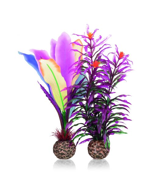 Biorb Papegaaienveer M - Aquarium - Ornament -
